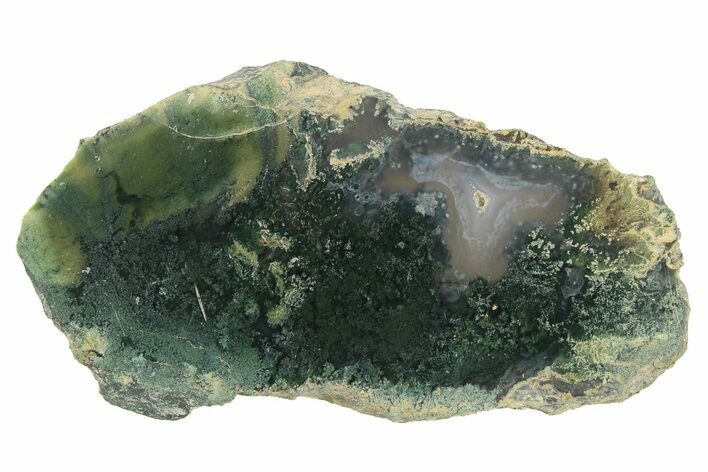 Polished Moss Agate Slab - Java, Indonesia #271545